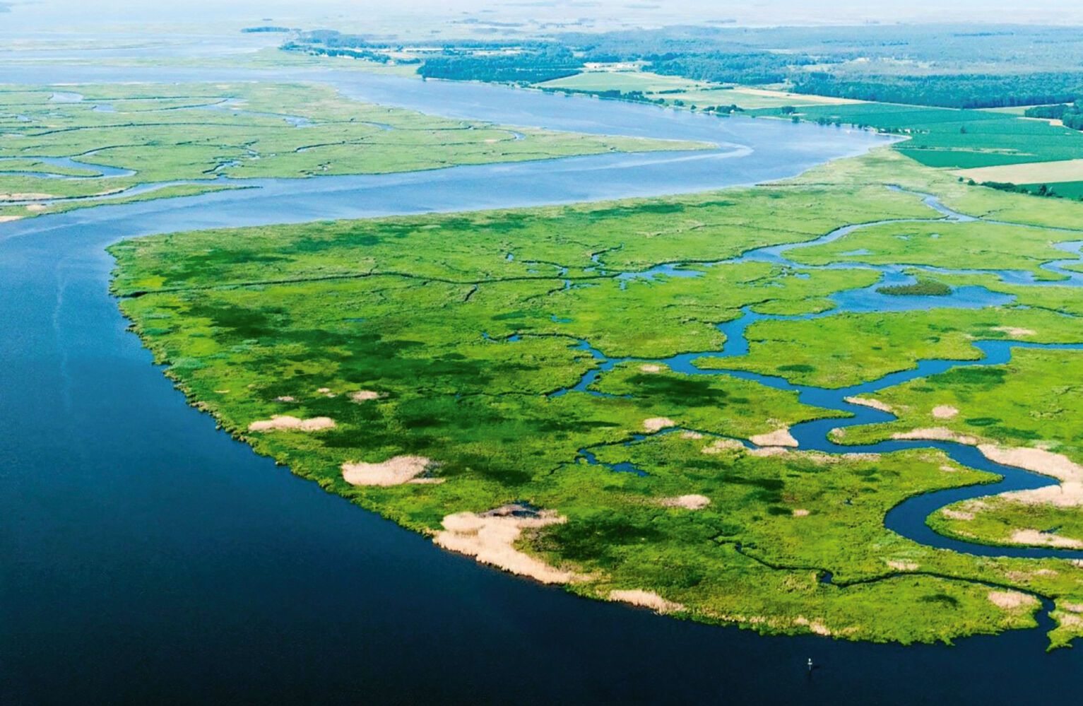 Wetlands along Nanticoke River, MD